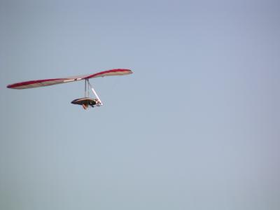 u27/vincene/medium/16330007.chrislanding.jpg