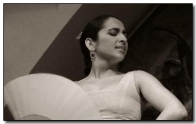 Flamenco 8