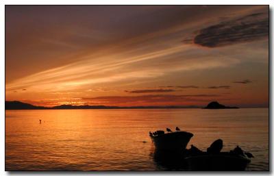 Boats & Sunset