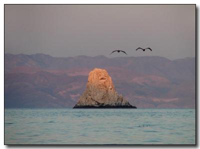 Bird Rock with Birds