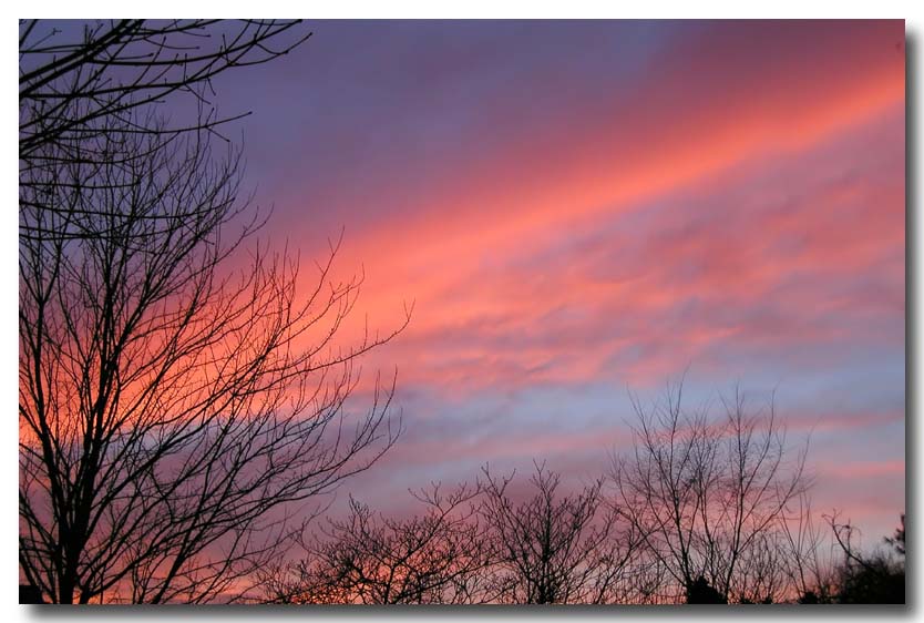 Pink Twilight Splendor