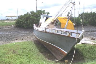 IMG0031.jpg