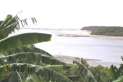 IMG0040.jpg