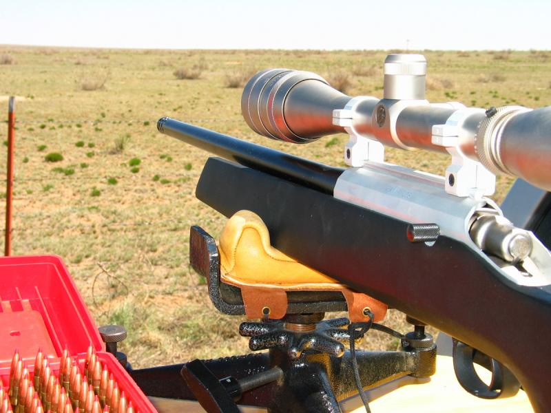 Bench Rest and Varmint Rifle