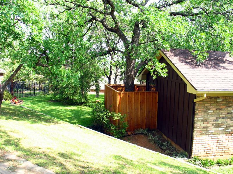 Tom's Back Yard