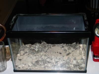 u27/wyk/medium/16091597.terrarium.jpg