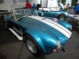 Shelby Cobra (yes, it's real!)