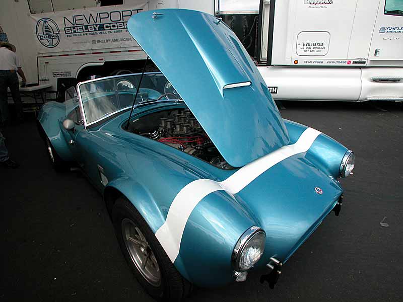 Shelby Cobra (yes, its real!)
