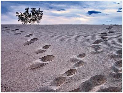 Dunes near Stovepipe Well