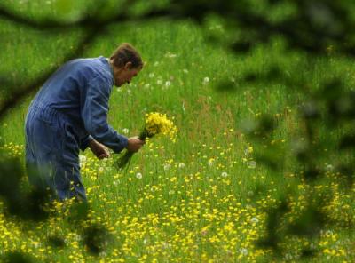 Flowers for his lady