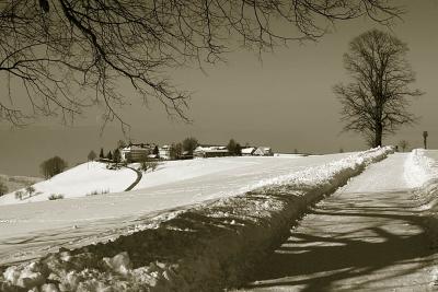 snow-covered road to Gubel (Menzingen)