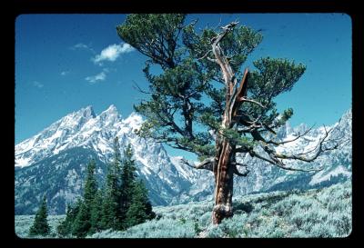 GTNP0002resize.jpg