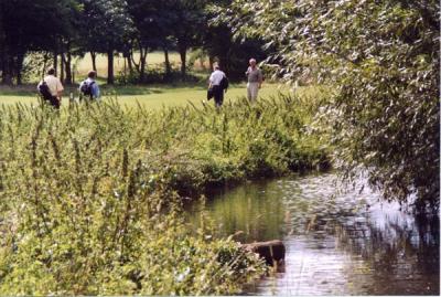 delighful walk alongside the River Cray