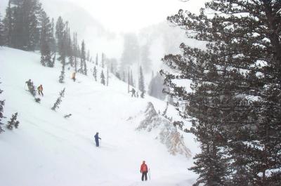 u29/afuent/medium/17552257.powdermag.jpg