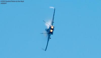 USN F/A-18 Hornet military aviation air show stock photo #4265
