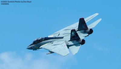 USN F-14D Tomcat #163414 military aviation air show stock photo #4297