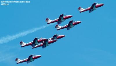 Canadian Forces Snowbirds Canadair CT-114 Tutors military aviation stock photo #4477