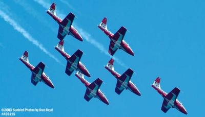 Canadian Forces Snowbirds Canadair CT-114 Tutors military aviation stock photo #4478
