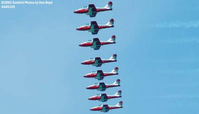 Canadian Forces Snowbirds Canadair CT-114 Tutors military aviation stock photo #4500