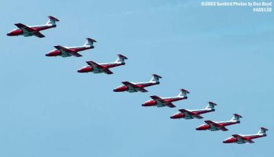 Canadian Forces Snowbirds Canadair CT-114 Tutors military aviation stock photo #4501