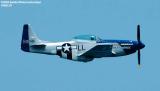 P-51D Crazy Horse military warbird aviation stock photo #4463