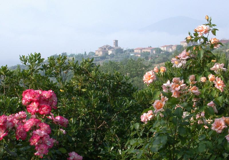Village near Perugia, Umbria