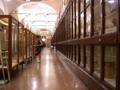 Civic Museum, Bologna