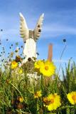 spring fever