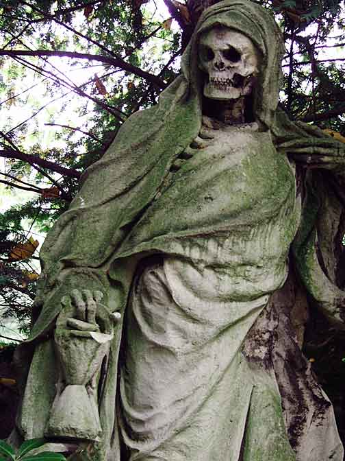 death rises