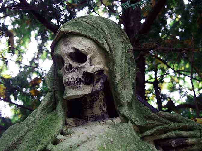 hallow smile