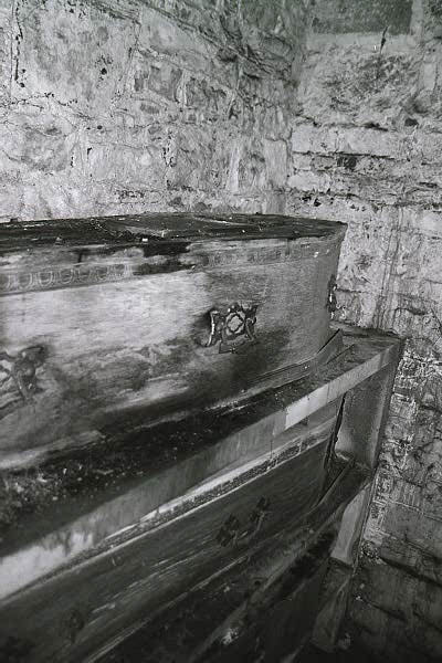 coffin termites