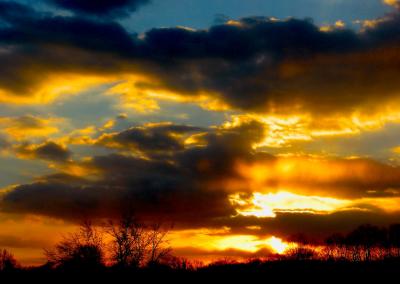 SIG    TIFf yellowsunset 1 Img_3554.jpg