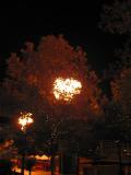 196-9675_IMG.JPG
