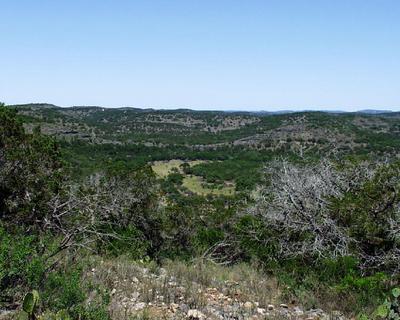 view of horseshoe bend.jpg