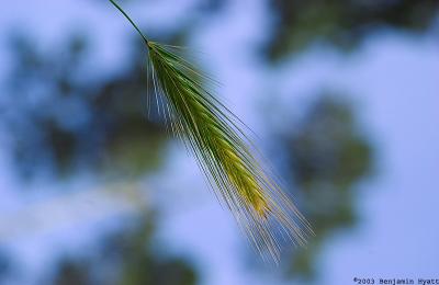 DSC_1041.jpg