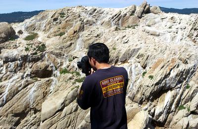 Point Lobos