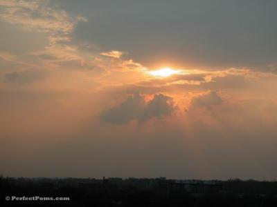 Apr29a 010.jpg