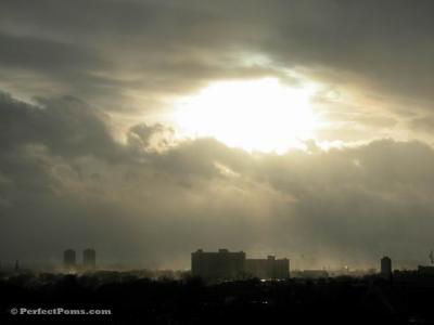 Feb 16a 001.JPG