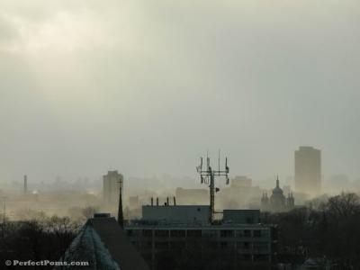 Feb 16a 011.JPG