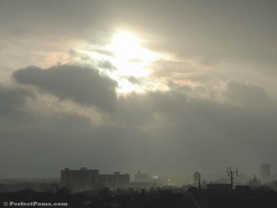 Feb 16a 014.JPG