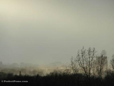 Feb 16a 015.JPG