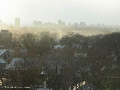 Feb 16a 020.JPG
