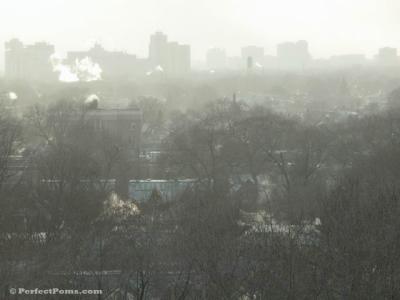 Feb 16a 041.JPG