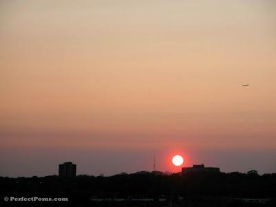 June1c 013.jpg
