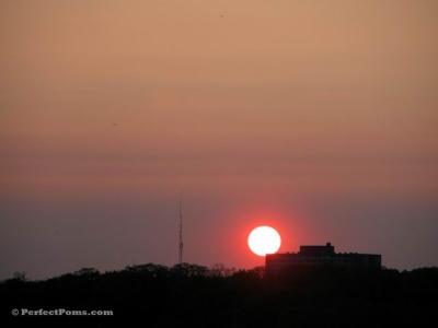 June1c 017.jpg