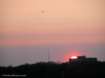 June1c 026.jpg