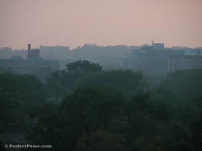 June7a 271.jpg