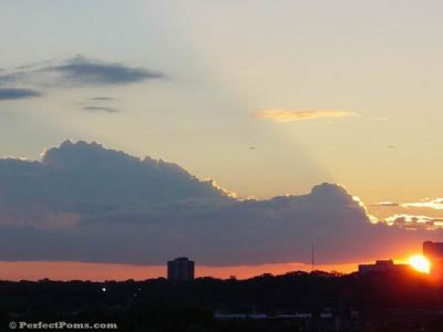 Sony  sunset 005.jpg