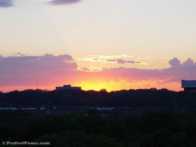 Sony  sunset 018.jpg