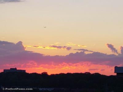 Sony  sunset 025.jpg